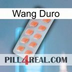 Hard Wang 26